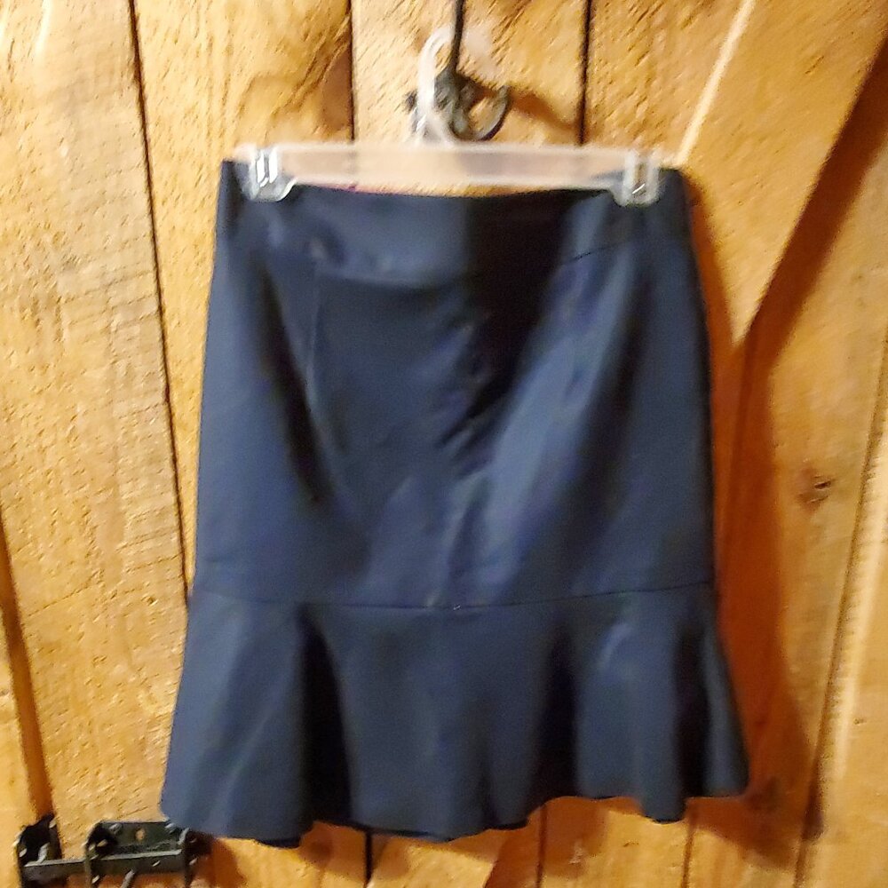 Banana Republic Skirt
